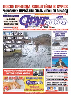 После приезда Хинштейна в Курск чиновники перестали спать и пошли в народ
