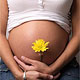 Защита эмбриона