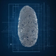 Как защищены биометрические данные