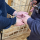 Бывший полицейский получил срок за попытку мошенничества на 2 миллиона рублей