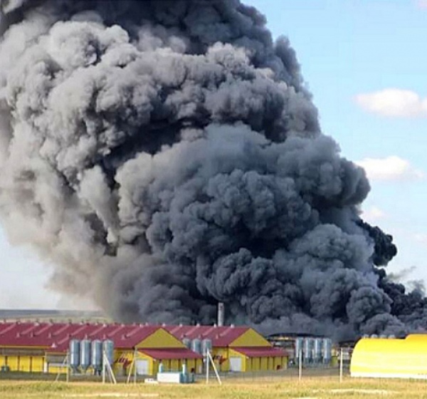 ������� ������ ���������� 5 ����� ���������� ������