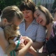 В воскресенье в Курске будут бесплатно раздавать щенков и котят
