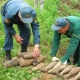 В деревне под Курском нашли шесть минометных мин