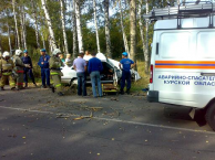 На дороге к поселку Искра иномарка врезалась в дерево На дороге к поселку Искра иномарка врезалась в дерево