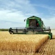 Курские аграрии собрали 3 миллиона тонн зерна