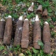 В лесу под Курском нашли 7 снарядов