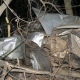 В Курской области три машины улетели в кювет: погибли пятеро пассажиров