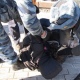Курянка, ударившая полицейского между ног, заплатит штраф