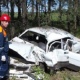 Курянин под Брянском задавил водителя, чинившего машину