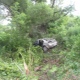 Под Курском машина врезалась в дерево, двое погибших