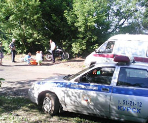 ДТП произошло в Золотухинском районе ДТП произошло в Золотухинском районе