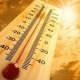 В Курскую область вернулась жара