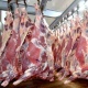 В Курской области три тонны контрабандной говядины отправили на мясокостную муку
