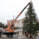 В Курске установили главную городскую елку