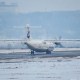 Аэропорт Курска отменил авиарейсы из-за тумана