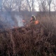 В Курске горела сухая трава на двух гектарах