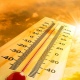 Курскую область ждет аномальная жара