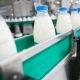 В Курской области выросло производство молочной продукции