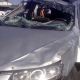 Под Курском пострадала автомобилистка, врезавшись в столб