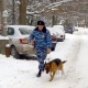 В Курске грабителя женщин обезвредили кинолог с собакой