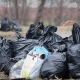 С улиц Курска за два дня вывезли 870 кубометров мусора