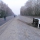 В Курской области перевернулся автобус