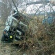 Под Курском грузовик протаранил дерево (ФОТО)