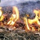 Курская область. В трех районах сложная обстановка с палами травы