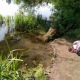В пруду под Курском утонула женщина