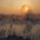 Курскую область накроет туман