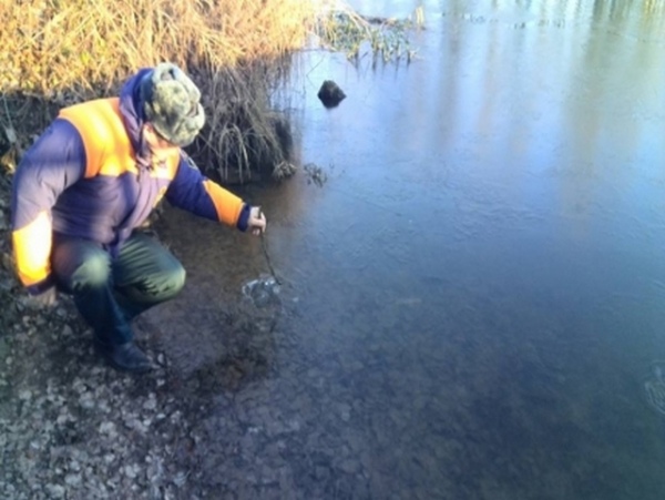 Курских водоемы начали покрываться льдом Курских водоемы начали покрываться льдом