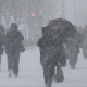 В Курской области объявлено штормовое предупреждение