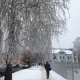 В Курской области легкий морозец и небольшой снег