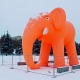 В Курске появились огромные оранжевые слоны