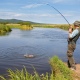 Курский предприниматель избежал штрафа за «платную рыбалку»
