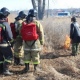 В Курске передумали поджигать сухую траву рядом с ипподромом