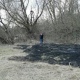 В Курске школьники предотвратили лесной пожар