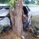 В Курской области машина врезалась в дерево — ранены парень и две девушки