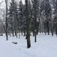 В Курской области обещают небольшой снег и гололедицу