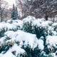 В Курске обещают дождь, снег и гололедицу