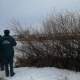 В реке под Курском найдено тело мужчины