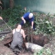 В Курской области из выгребной ямы вытащили корову Марусю