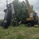Под Курском машина упала в реку. Погиб водитель