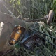 Погибший под Курском пилот самолета был военным пенсионером