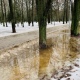 В Курской области ожидаются дождь и мокрый снег