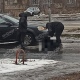 В Курске под колеса автомобиля упала женщина