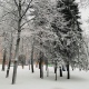 В Курской области сохраняется штормовое предупреждение об аномальных морозах