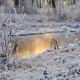 В Курской области прогнозируют до 31 градуса мороза