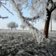 В Курской области похолодает до 10 градусов мороза