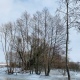 Температура в Курской области будет меняться от -8 до +8